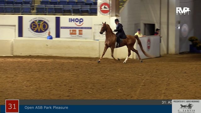 ASHAV21 - Class 31 - ASB 3 - Gaited P...