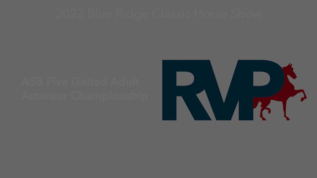 BR22 - Class 210 - ASB Five Gaited Ad...