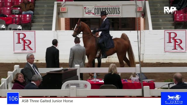 RR22 - Class 106 -  ASB Three Gaited ...