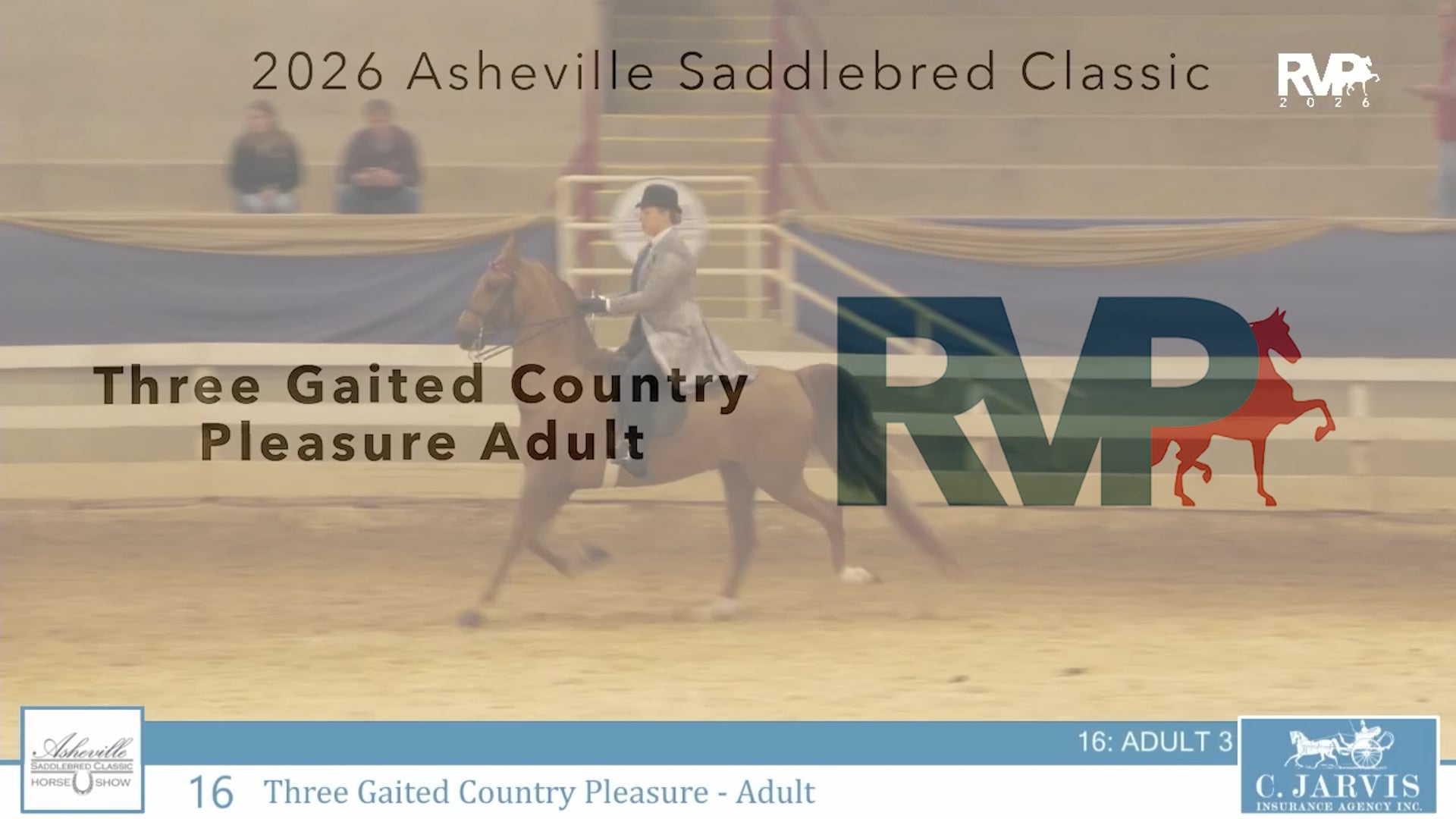 ASC26 - Class 16 - Three Gaited Country Pleasure Adult