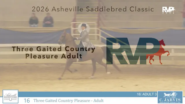 ASC26 - Class 16 - Three Gaited Count...