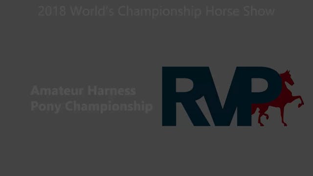 WCHS18 - Class 195 - Amateur Harness ...
