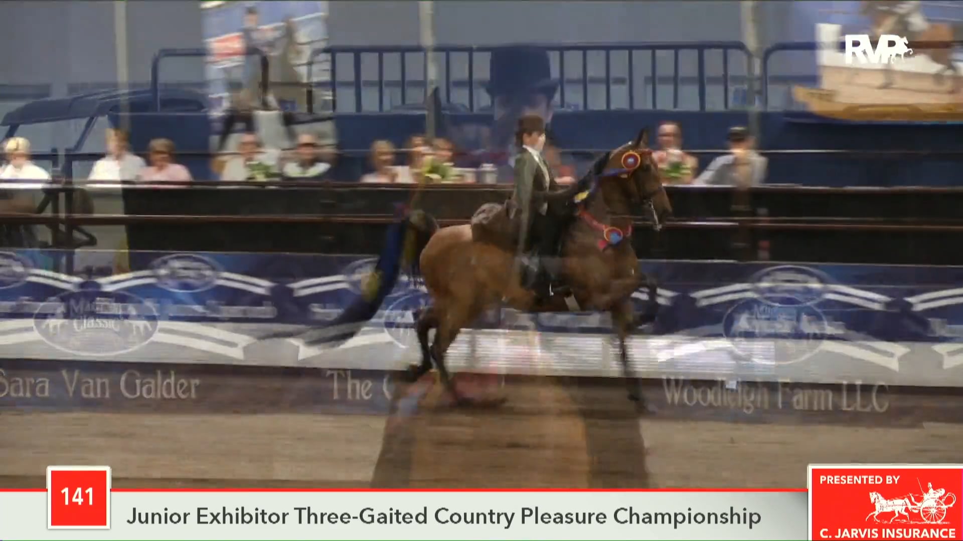 MC18- Class 141 - CH Spurwing's Queen Anna Championship