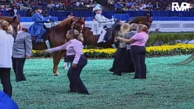 2009 World's Championship Horse Show ...