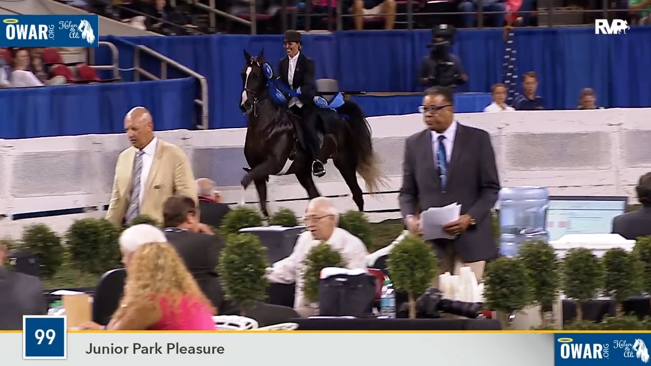 WCHS18 Class 99 - Sir Lance A Lot