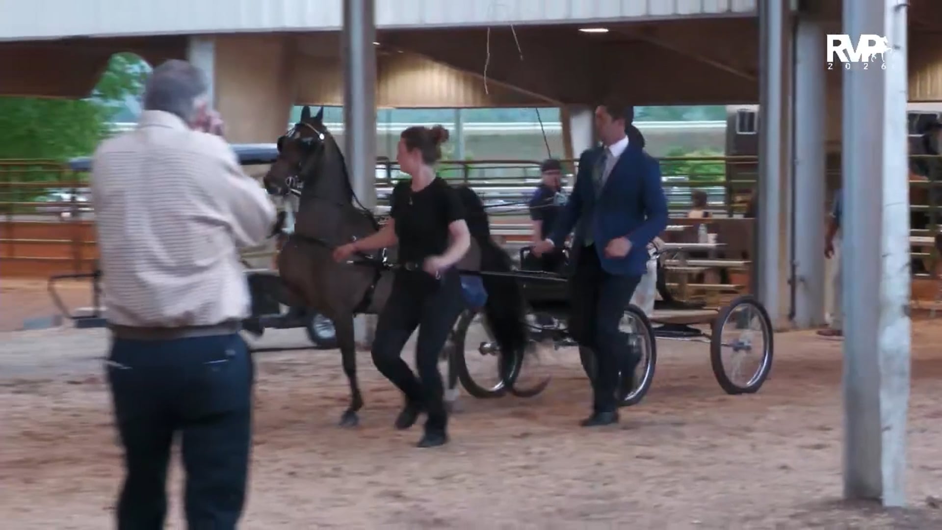ASC26 - Class 151 - Harness Pony Championship Amateur