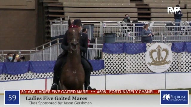2020 AR - Class 59 Ladies Five Gaited...