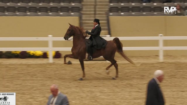 KYFC22 - Class 36 - UPHA Park Pleasur...