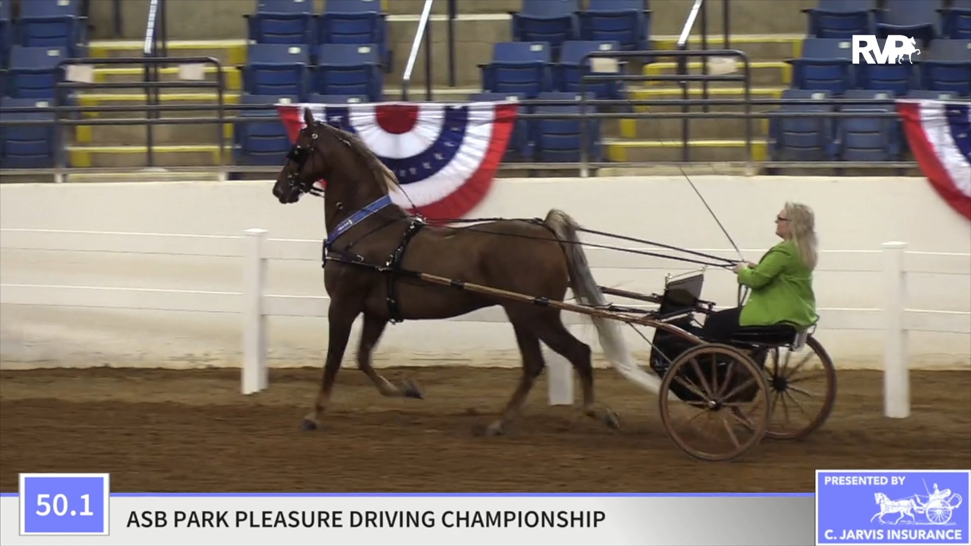 ASHAV19 - Class 50.1 - Meet Mr. Wonderful