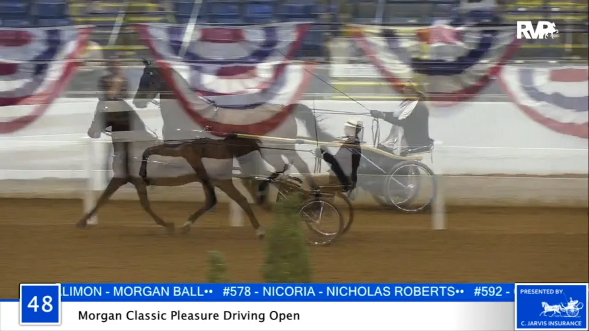 2020 BB - Class 48 Morgan Classic Pleasure Driving
Open