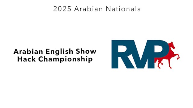 AN25 - Class 316 - Arabian English Sh...