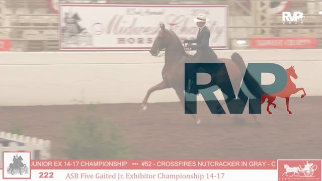 MW24 - Class 222 -  ASB Five Gaited J...