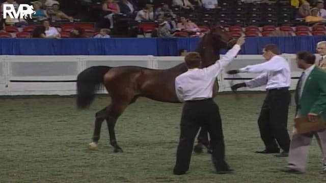 2004 World's Championship Horse Show ...