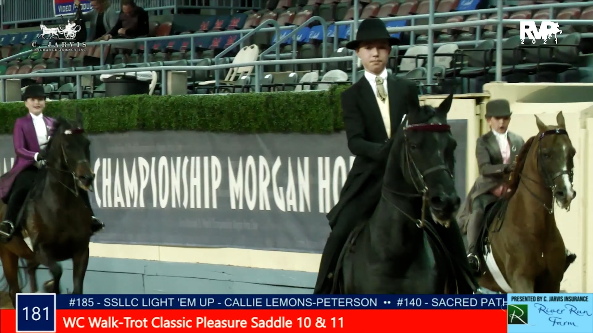 MGN21 - Class 181 - WC Walk-Trot Classic Pleasure Saddle 10 & 11