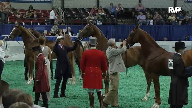 2012 WCHS - Class 7 Kentucky County F...