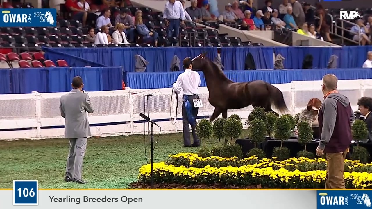 WCHS18 Class 106 - Buzzin'