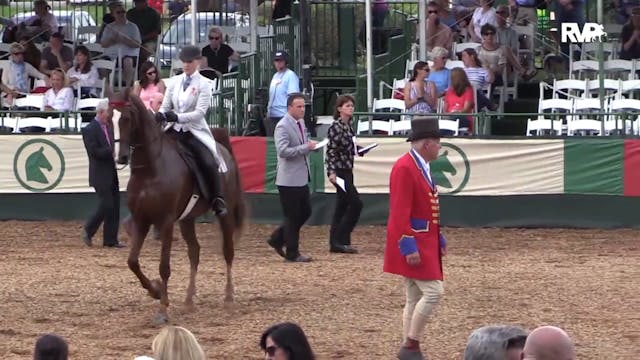 LJL15 - Class 65 - Junior Exhibitor T...