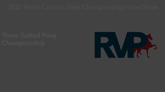 NCSC22 - Class 112 -  Three Gaited Po...