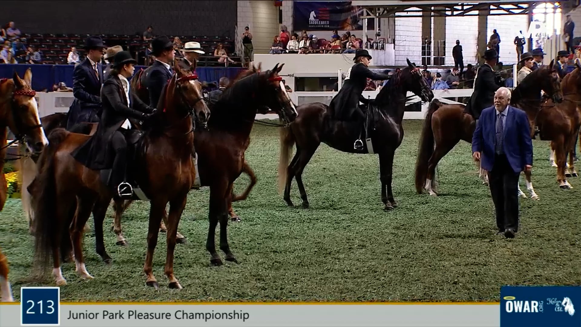 WCHS21 - Class 213 - Junior Park Pleasure Championship