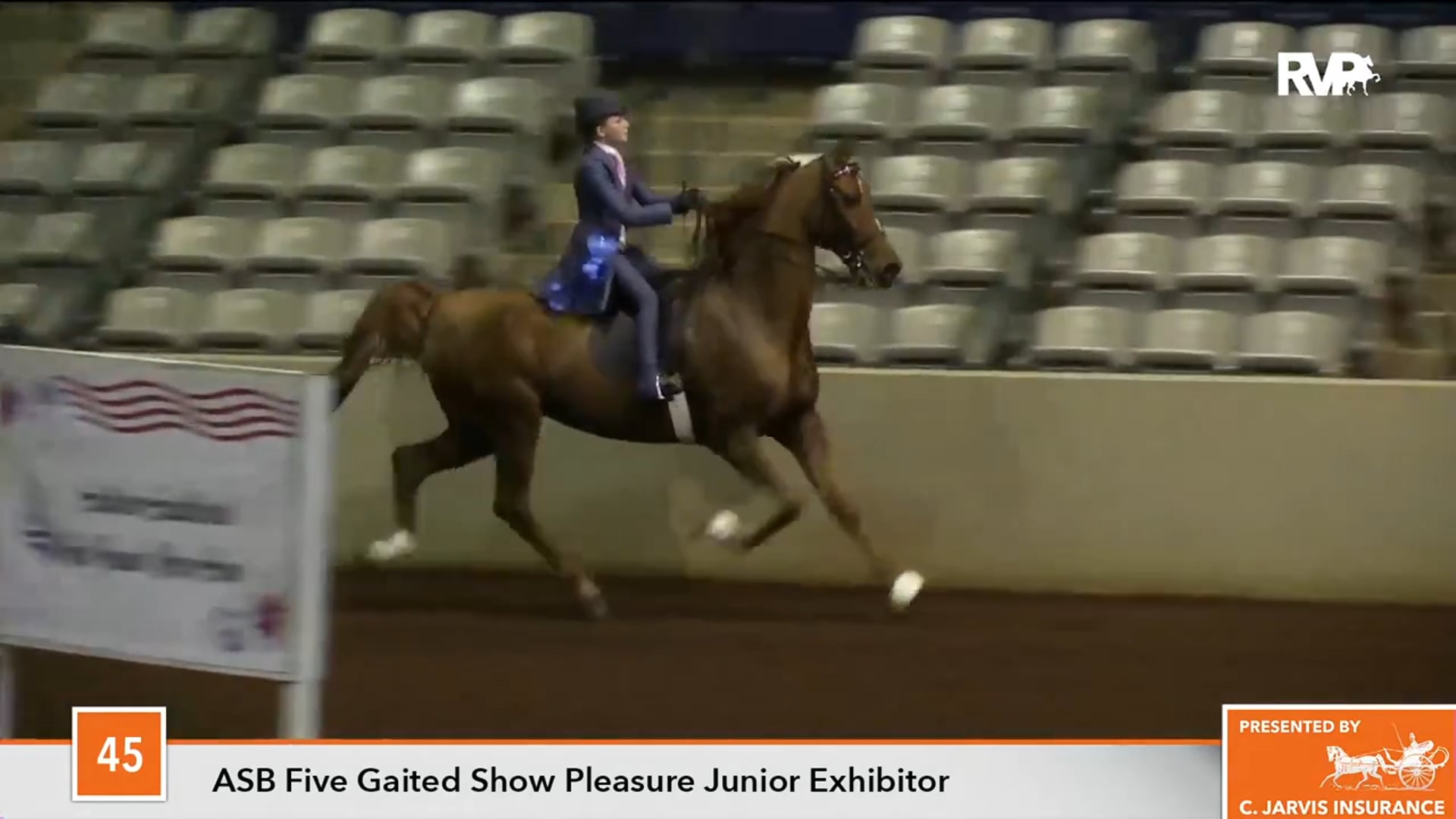 MUR17 - Class 45 - True Blue Cat