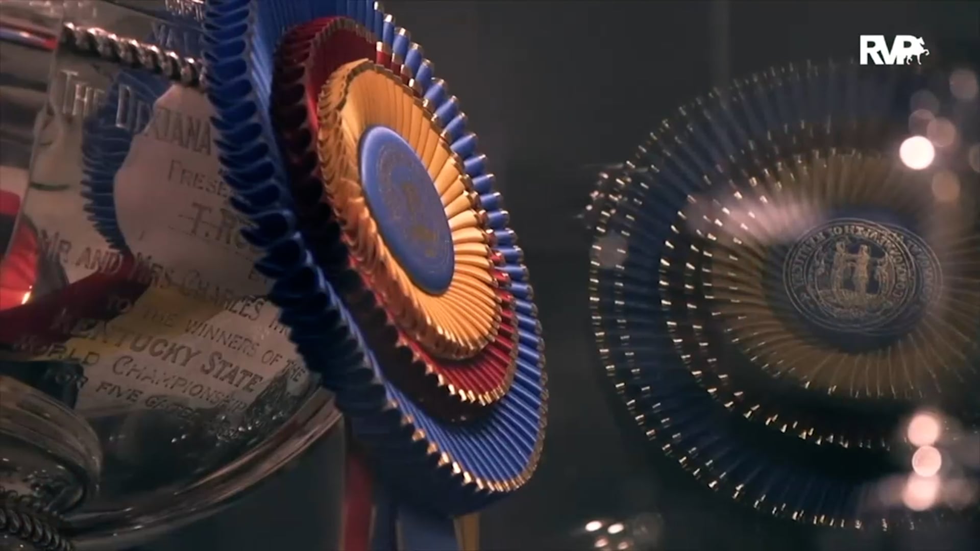 WCHS21 - Class 230 - HS Daydream's Heads Up and Scott Hagan, whip - ISO mp4