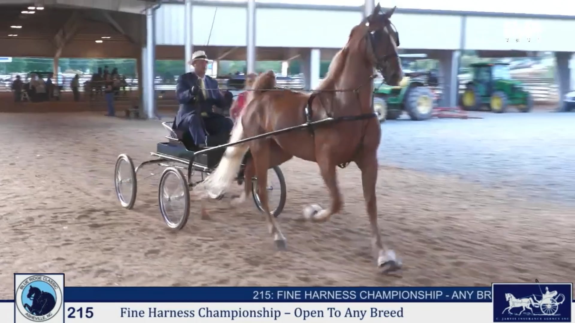 BRC25 - Class 215 - Fine Harness Championship-Any Breed