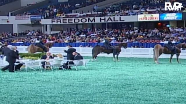 2009 World's Championship Horse Show ...