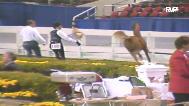 1992 WCHS Class 86 ASHA Amateur Futur...