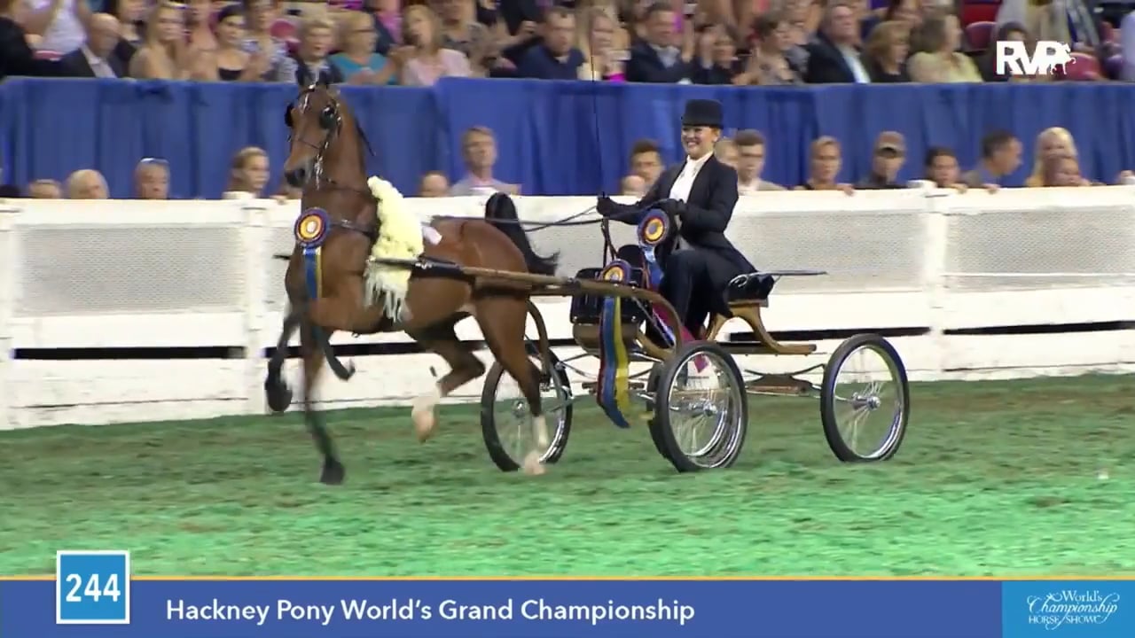 2016 AHHS Breeder Of The Year Mark Hyatt