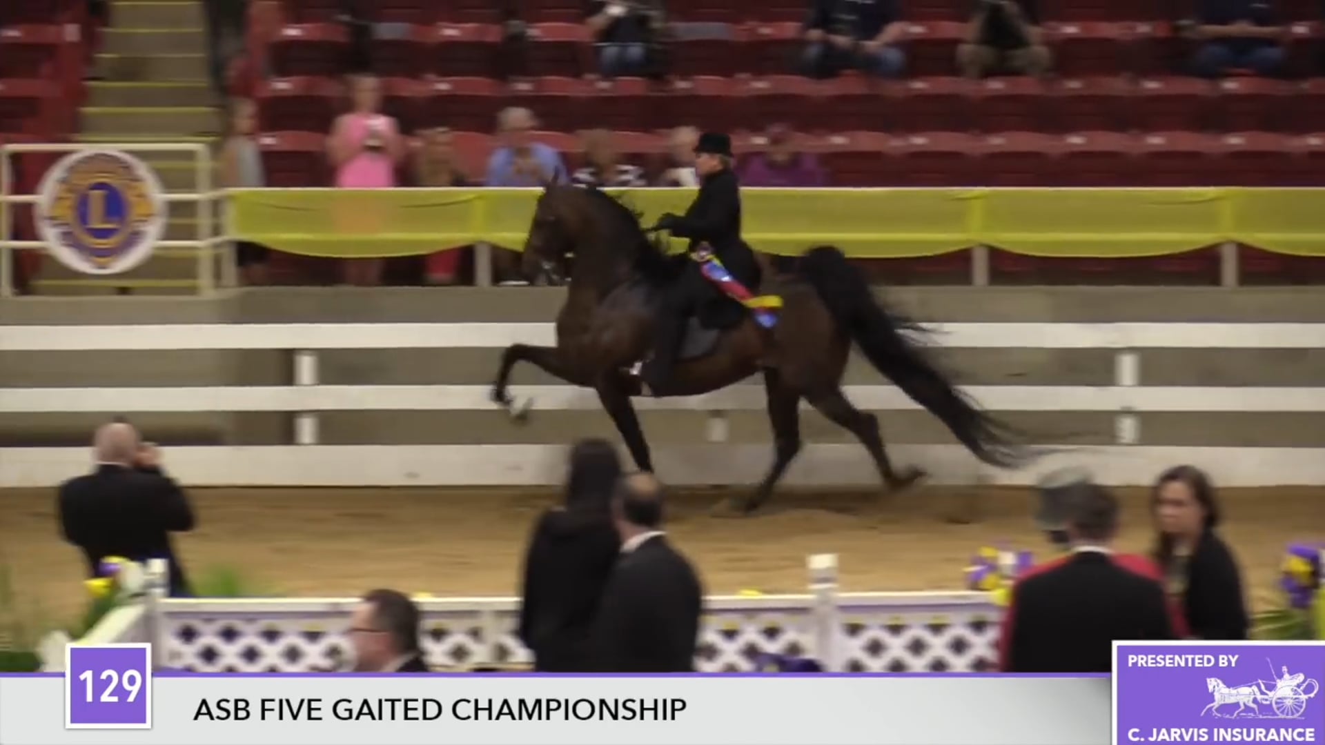 ALCB17 - (SA) Kalarama's Ultimare Choice - Championship 