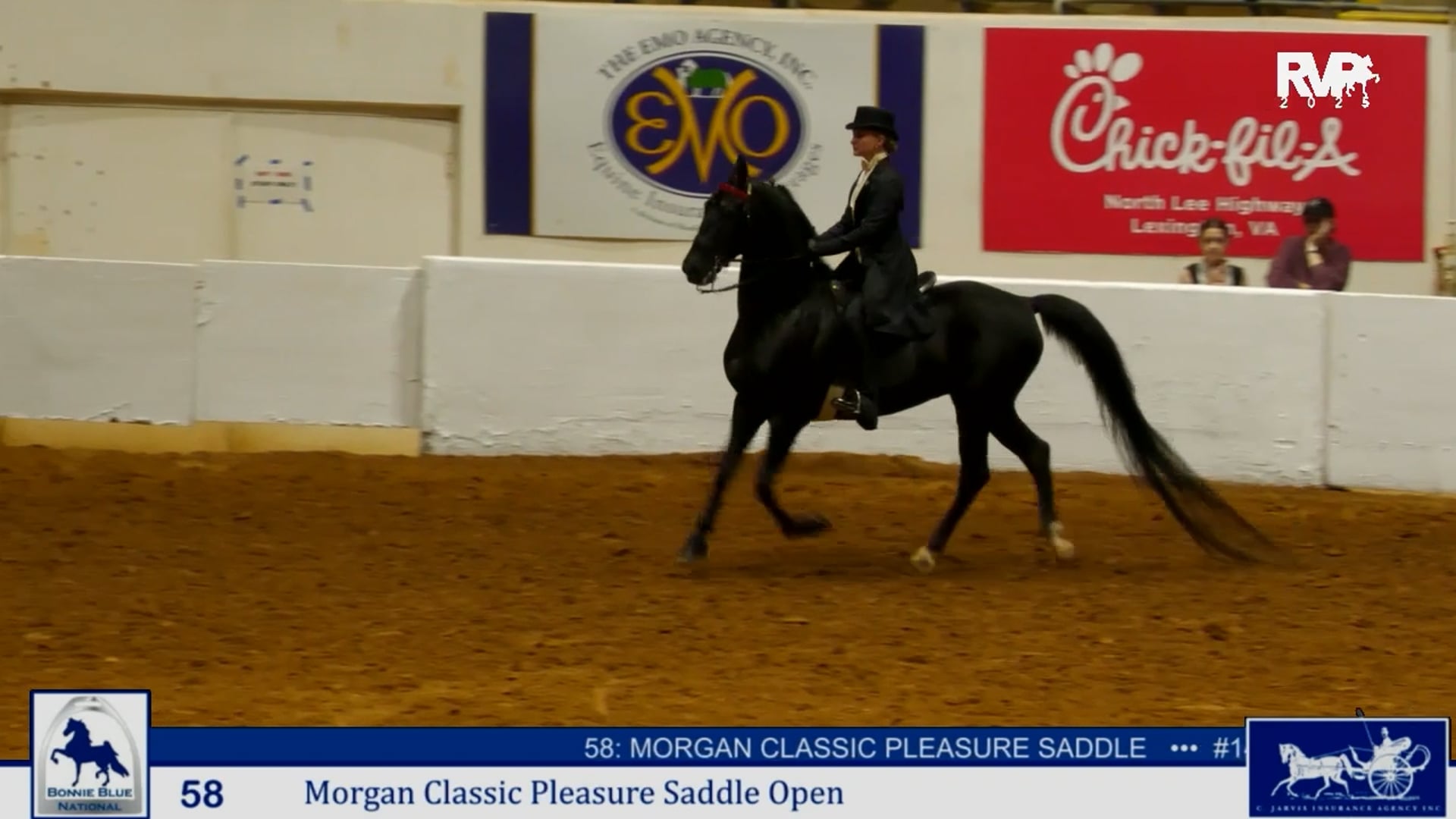 BB25 - Class 58 - Morgan Classic  Pleasure Saddle Open