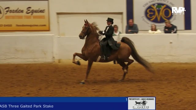 BB24 - Class 143 -  ASB Three Gaited ...