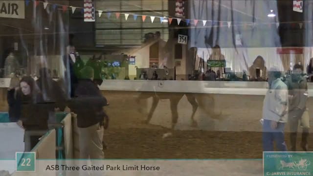 GASP17 - Ridin' High