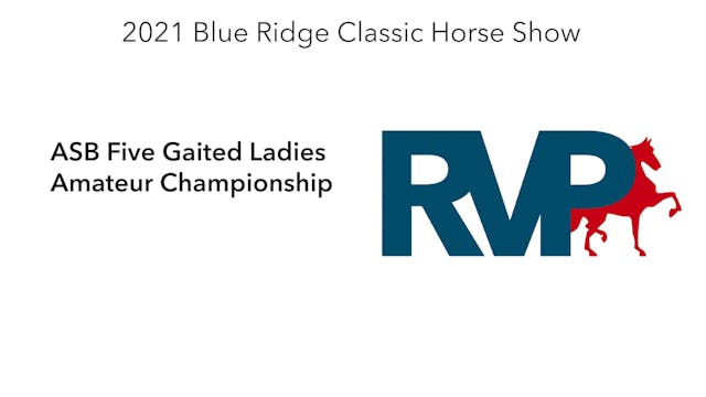 BR21 - Class 165 - ASB Five Gaited La...