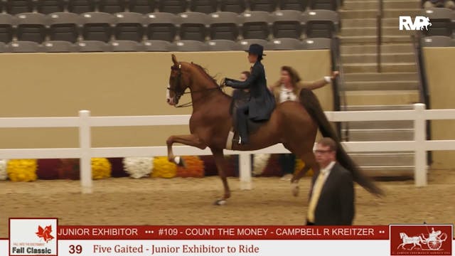 KFC24 - Class 39 - Five Gaited Jr Exh...