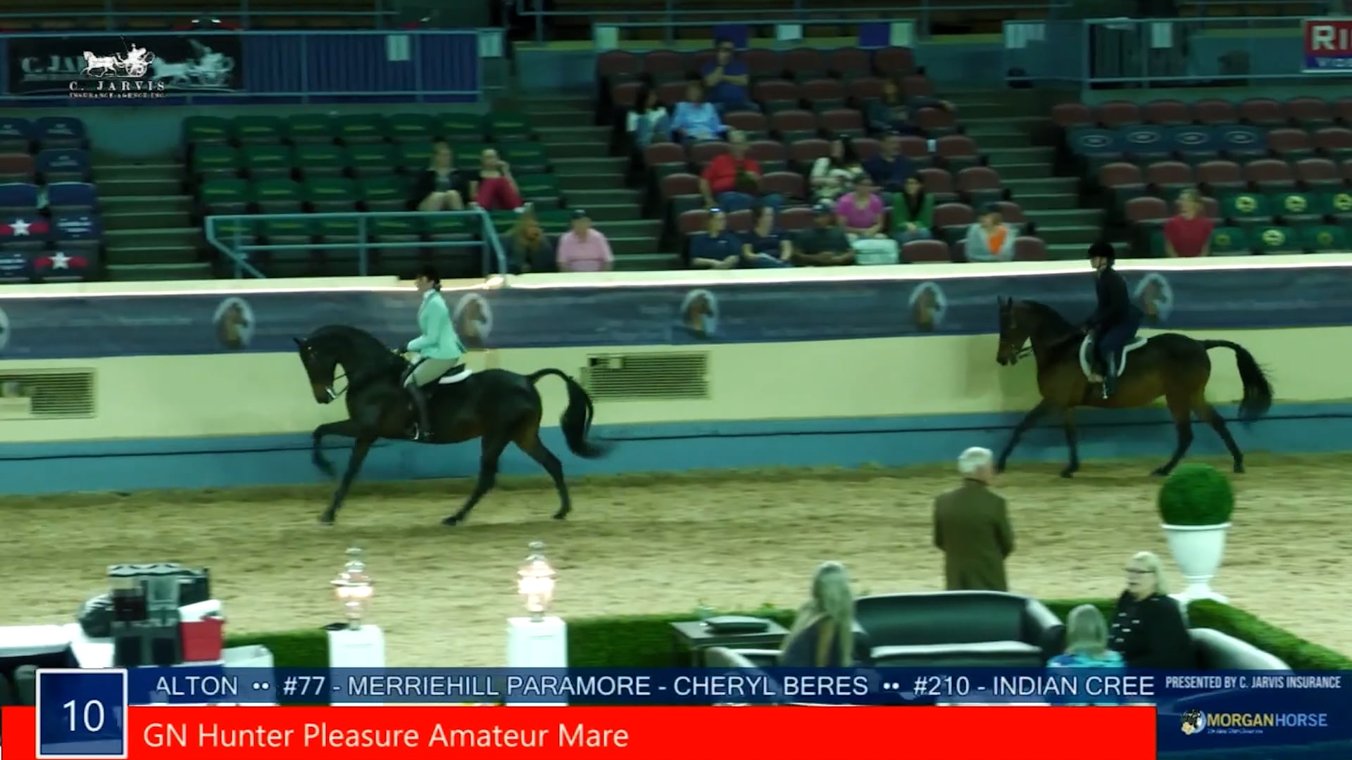 MGN21 - Class 10 - GN Hunter Pleasure Amateur Mare