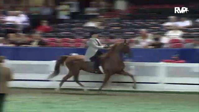 2000 WCHS Class 134 ASB Three Gaited ...