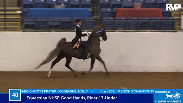 BB16 - NHSE Good Hands 17 & Under