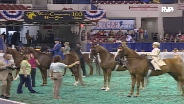 2006 WCHS Class 119A Equitation Open ...