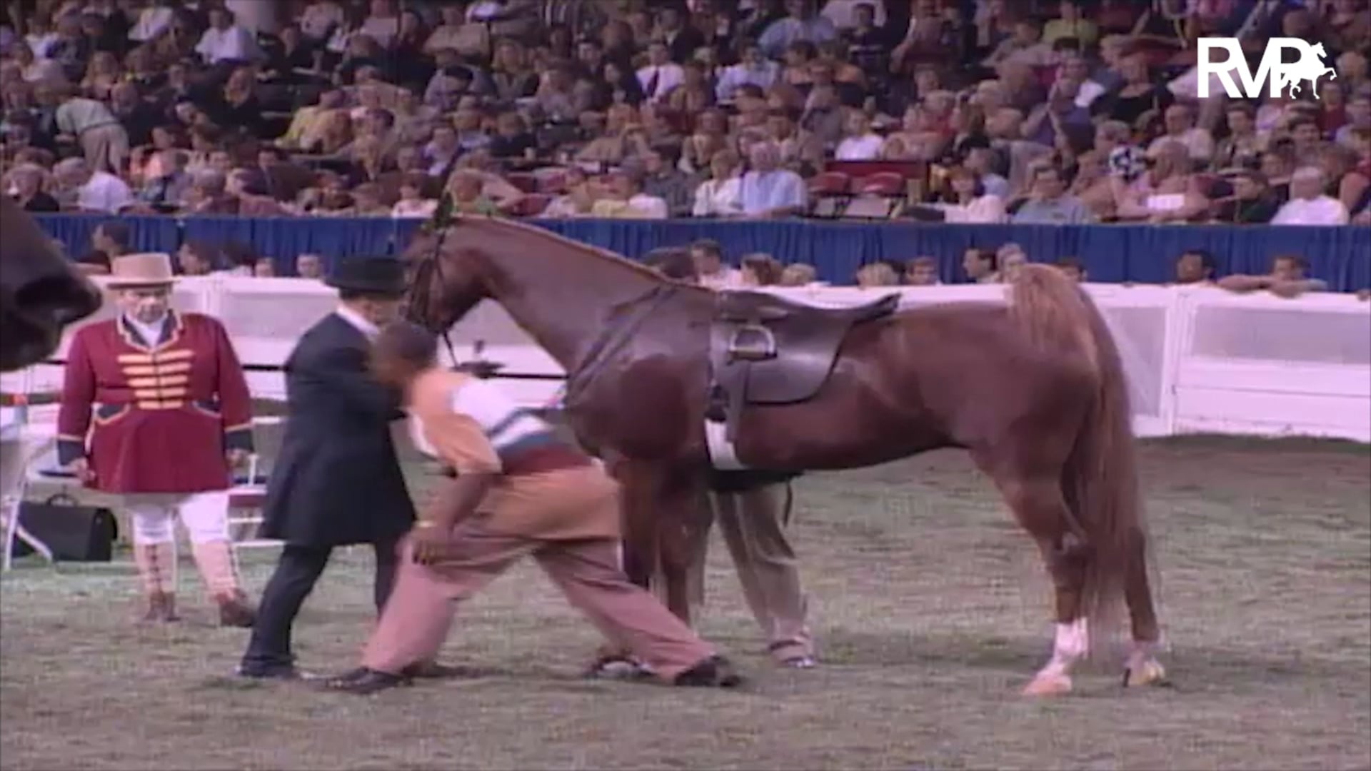 2003 WCHS Class 200 Junior Five Gaited Championship