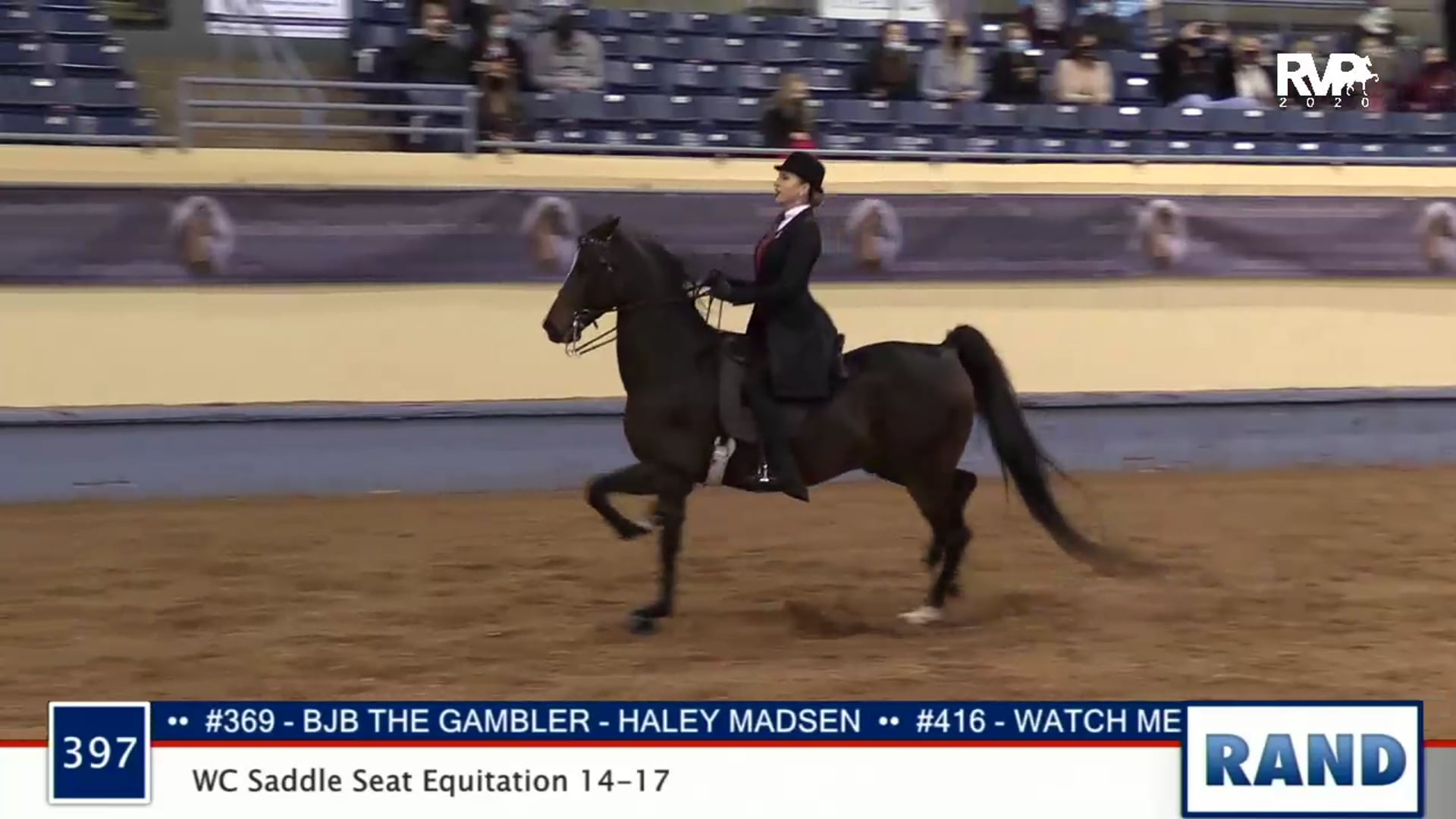 2020 MGN - 397 WC Saddle Seat Equitation 14-17