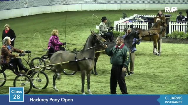 2014 KC - Class 28 Hackney Pony Open