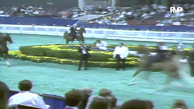 1991 WCHS Class 8 Kentucky County Fai...