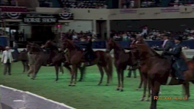 2001 WCHS - Class 76 - Equitation, Op...