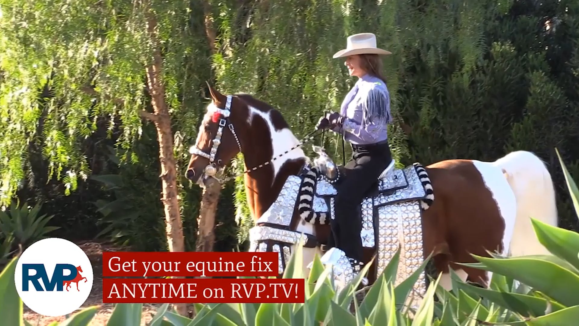 SS21 - Class 38 - Legendsteen and Leslie Melvin, up