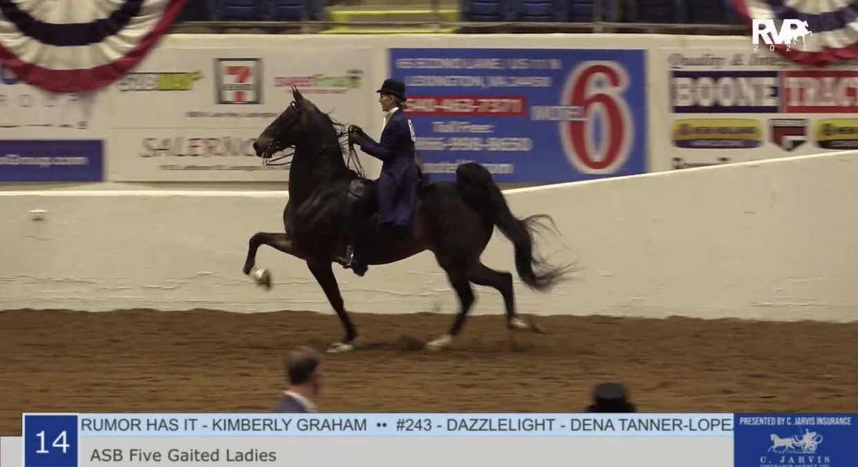 2021 Bonnie Blue National Horse Show - Wednesday Evening