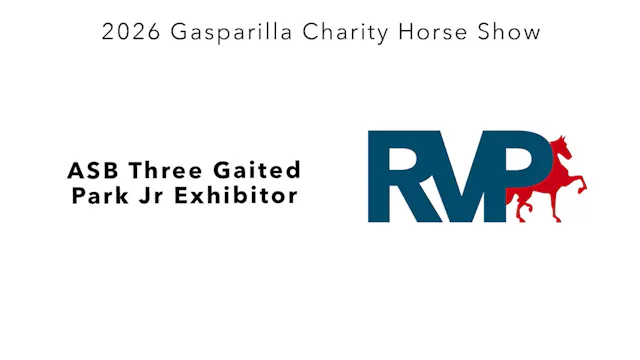 GC26 - Class 24 - ASB Three Gaited Pa...