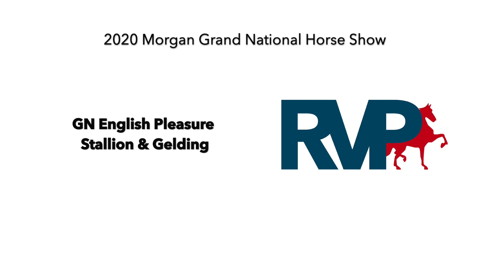 2020 MGN - Class 95 GN English Pleasure Stallion & Gelding