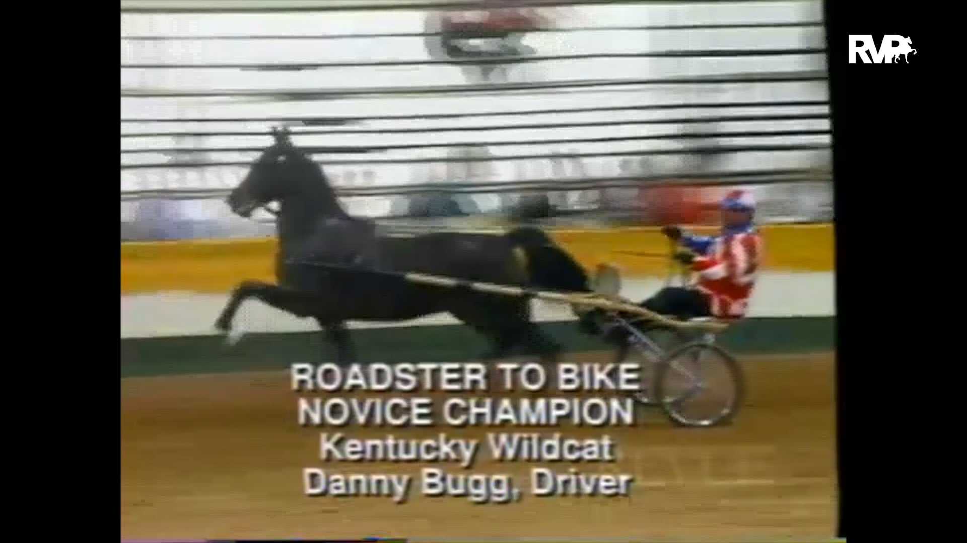 Looking Back on the 1995 Pro-Am Horse Show