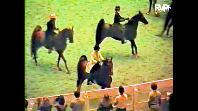 1983 WCHS - Class 123 Ladies Five Gai...